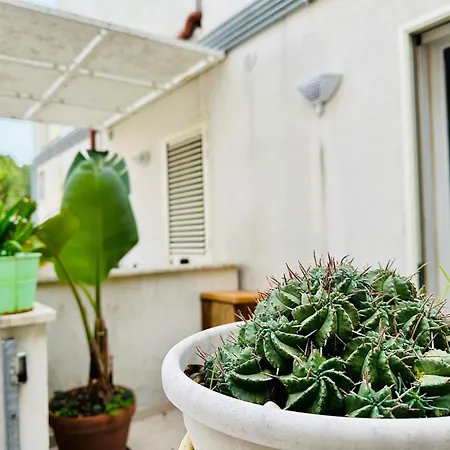 La Casa Di Chiara * Otranto