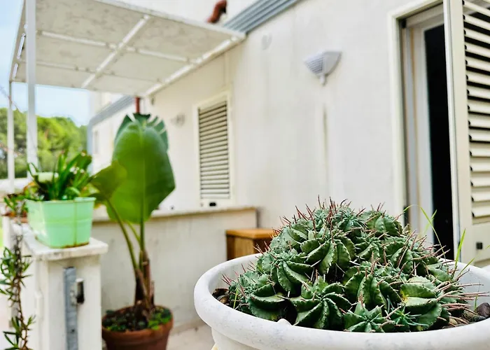 La Casa Di Chiara By Professione Vacanze Apartment
